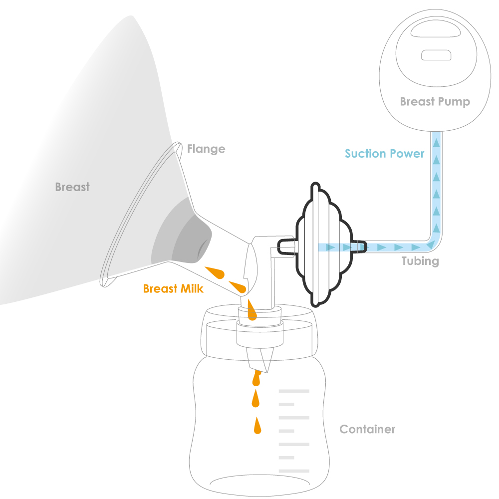 Diagram of a backflow protector assembled with other pump parts while pumping