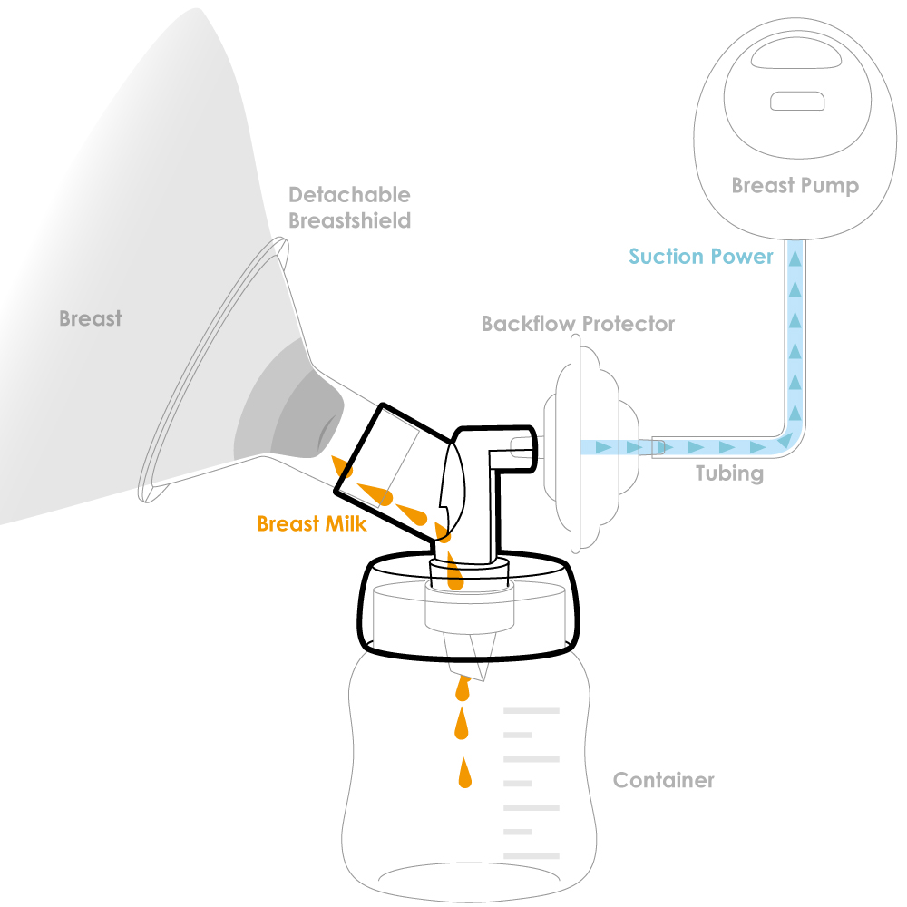 Diagram of a base connector assembled with other pump parts while pumping